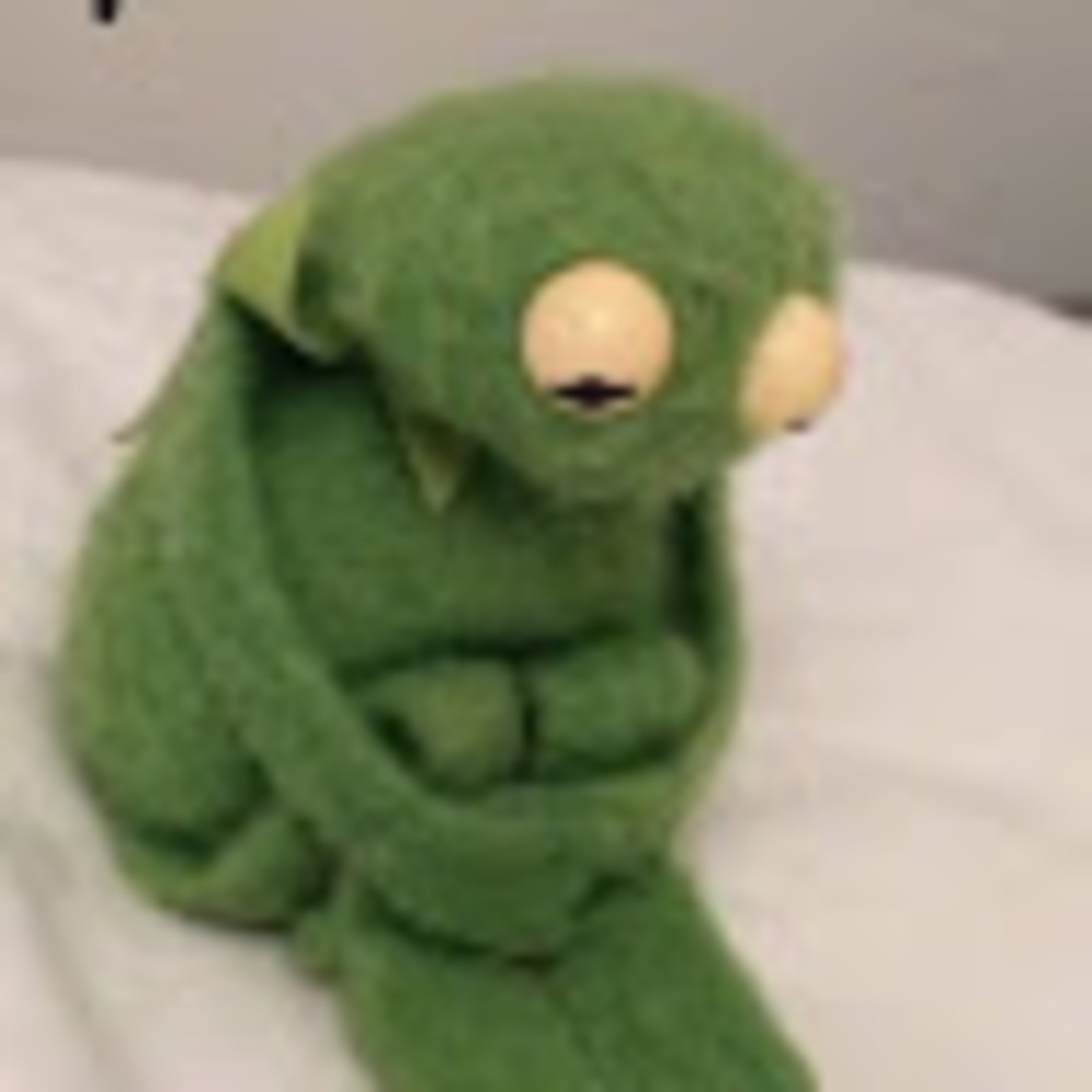 Meet your Posher, Hailey